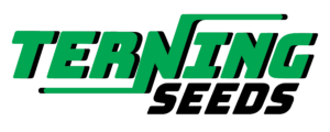 Terning Seeds Logo